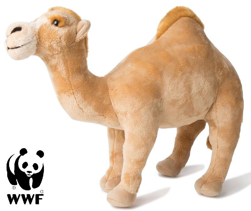 WWF (Världsnaturfonden) Dromedar - WWF (Verdens naturfond)